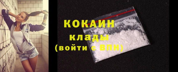 сатива Кукмор
