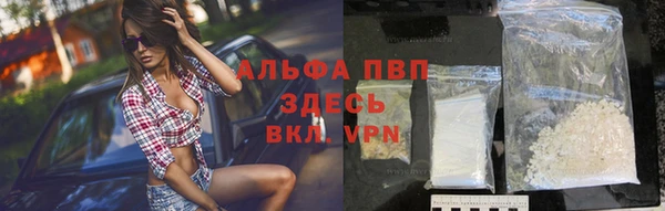 сатива Кукмор