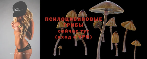 a pvp Лагань