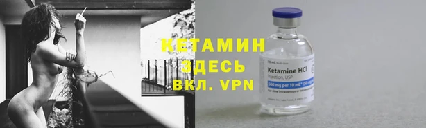 сатива Кукмор