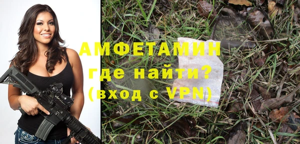сатива Кукмор