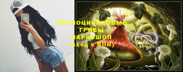 сатива Кукмор
