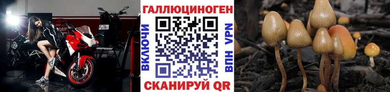 Галлюциногенные грибы Psilocybine cubensis  Купить где  Кунгур 